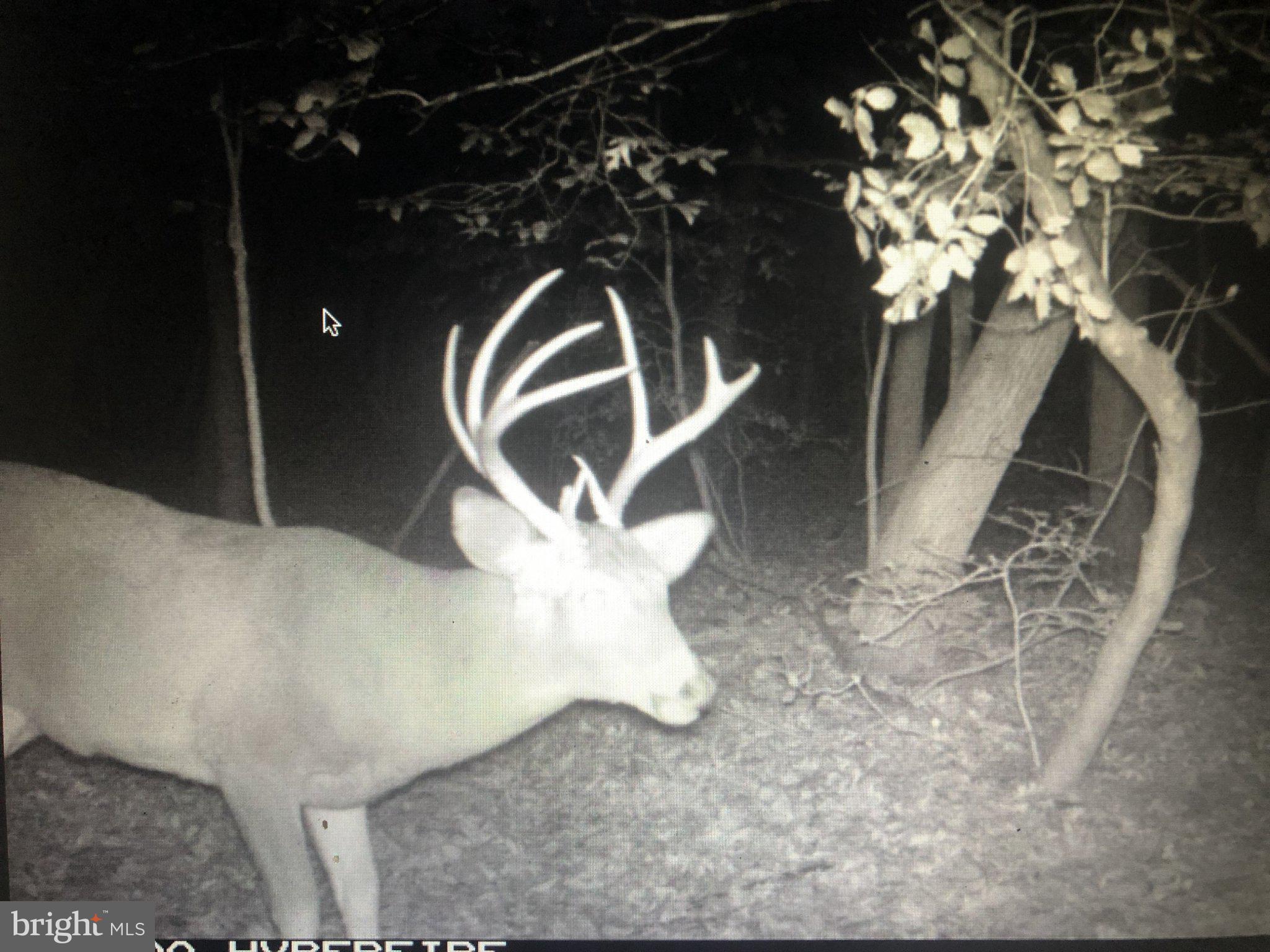 12823 Lewis Road Berlin, MD 21811 - Photo 8 of 8 a close view of tap