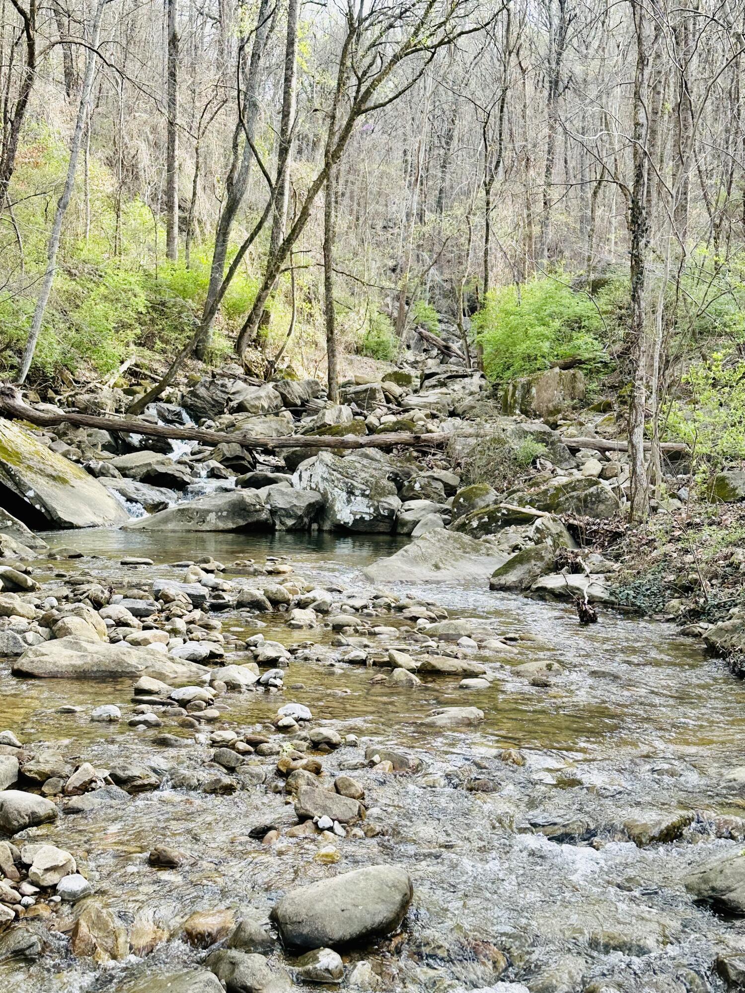 1885 Suck Creek Road Chattanooga, TN 37405 - Photo 26 of 26 IMG_0009