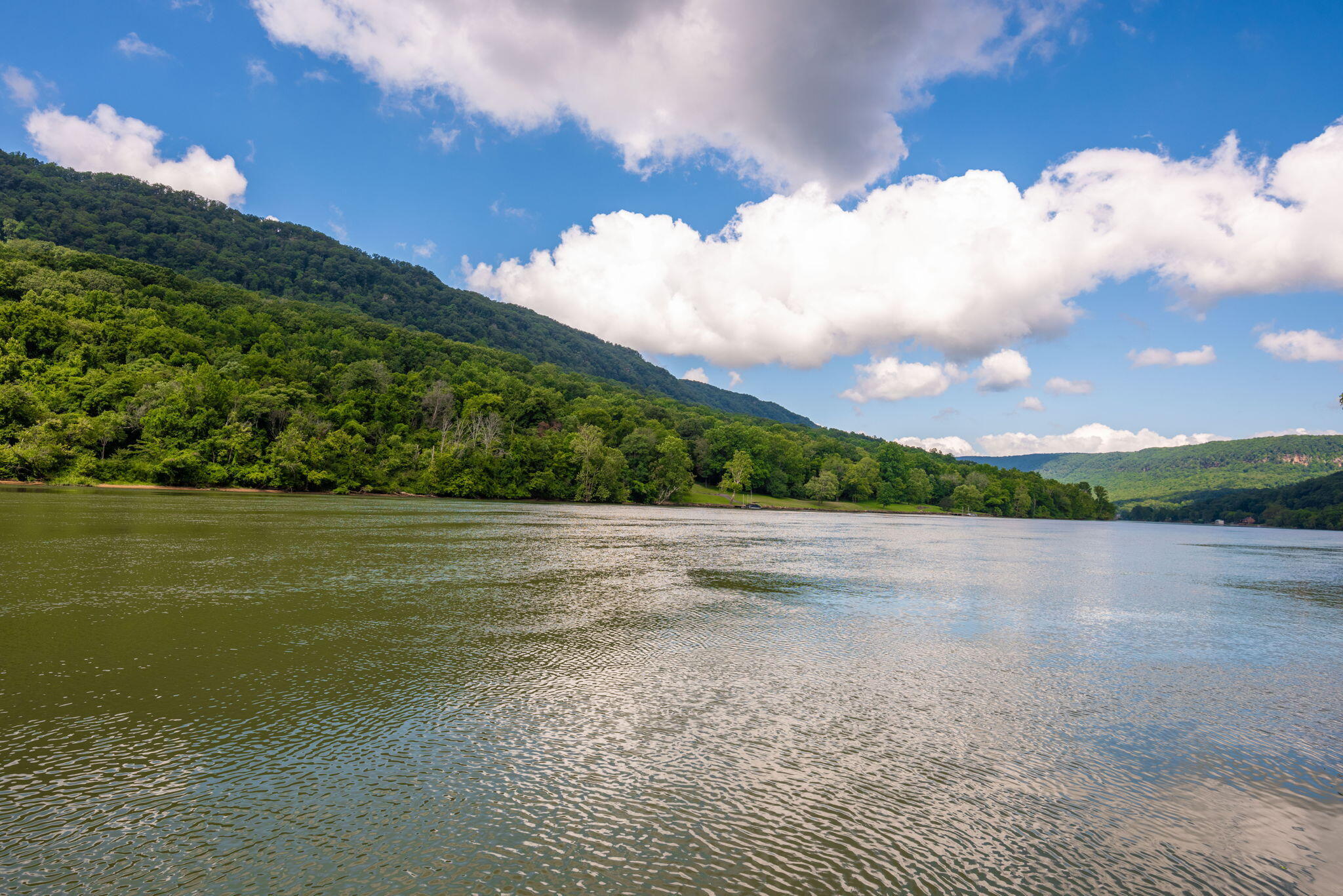 1885 Suck Creek Road Chattanooga, TN 37405 - Photo 8 of 26 27-web-or-mls-DSC_7149