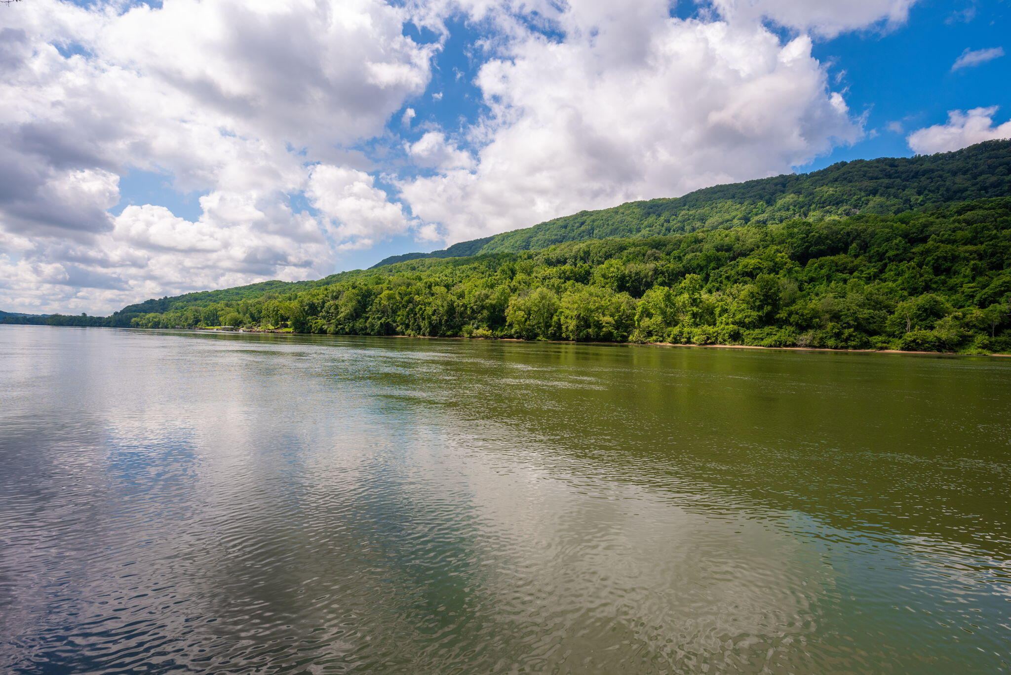 1885 Suck Creek Road Chattanooga, TN 37405 - Photo 9 of 26 28-web-or-mls-DSC_7150