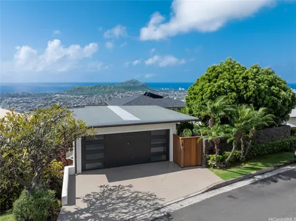 an aerial view of a house with a yard potted plants and large tree