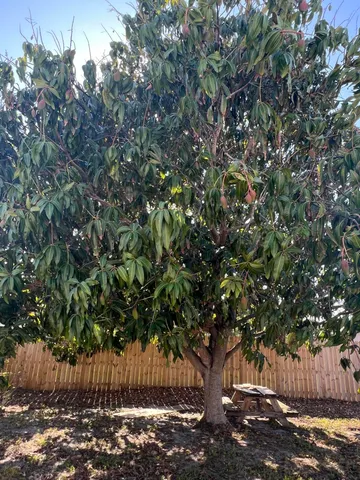 $2,650 | 4611 Northeast 15th Avenue, Pompano Beach, FL 33064