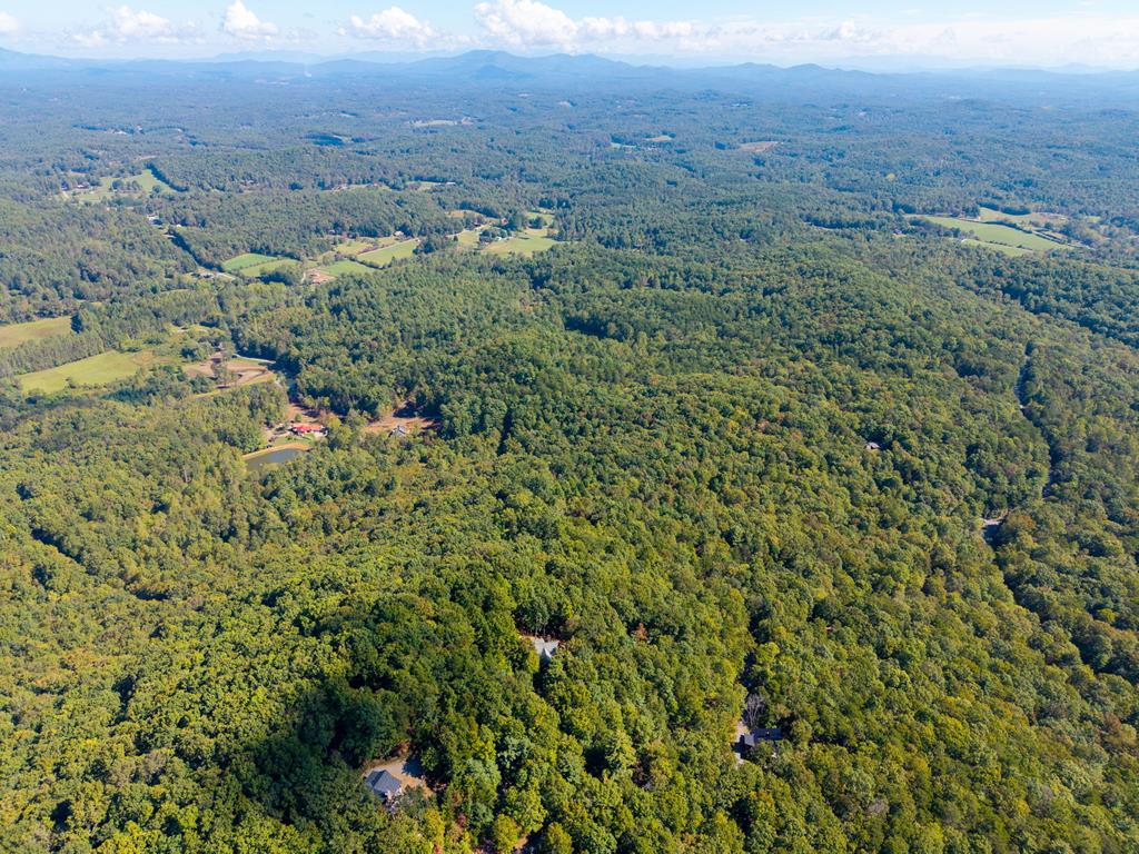 Lot 6-7 Raintree Bend Blue Ridge, GA 30513 - Photo 11 of 15 Gallery Image 11