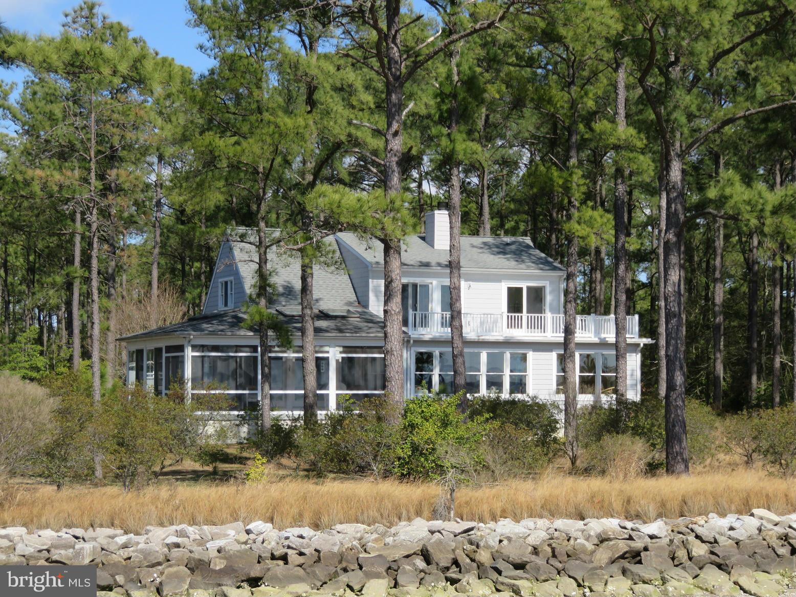 5300 Ross Neck Road Cambridge, MD 21613 - Photo 1 of 30 Spectacular Natural Setting.