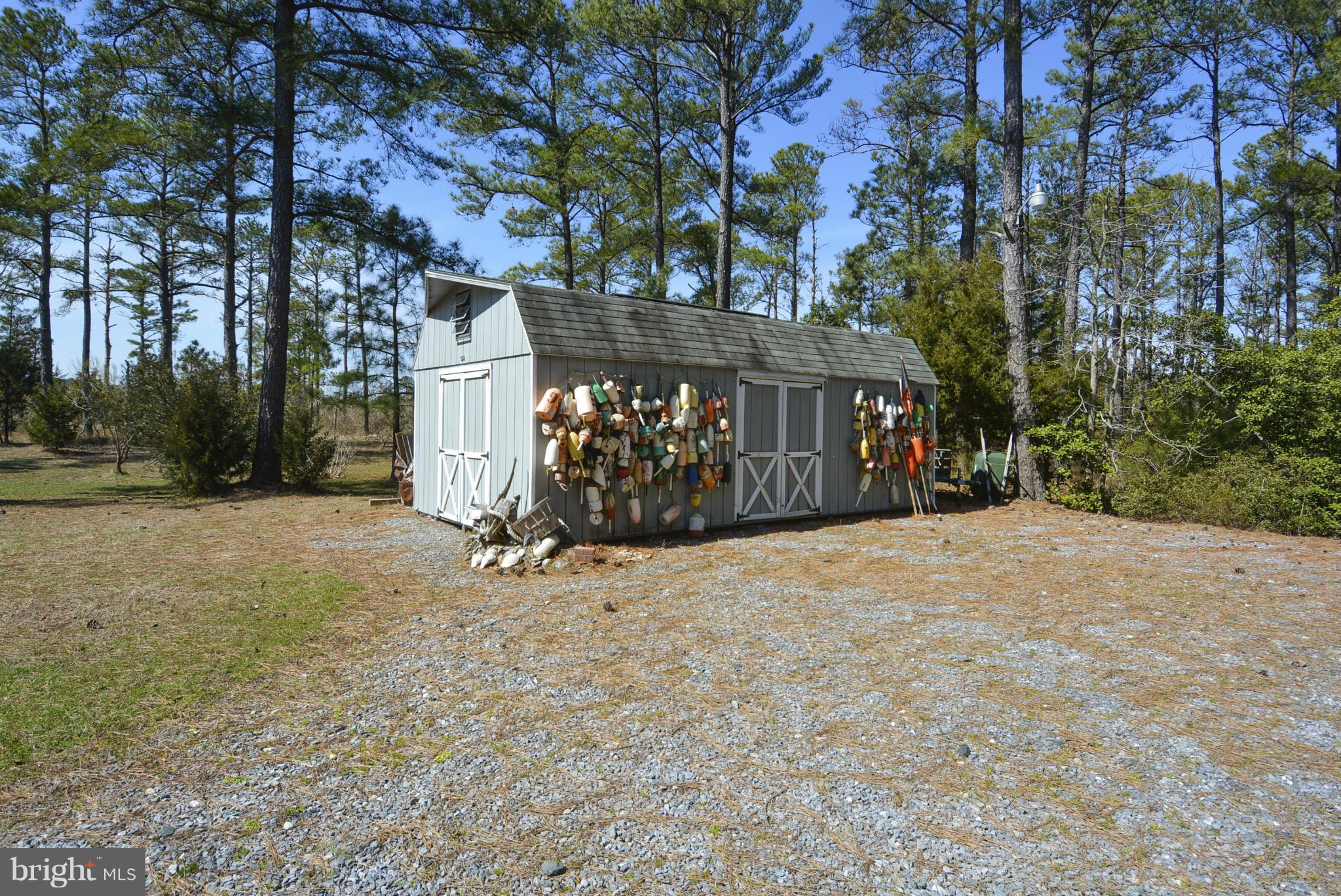 5300 Ross Neck Road Cambridge, MD 21613 - Photo 29 of 30 Large storage shed