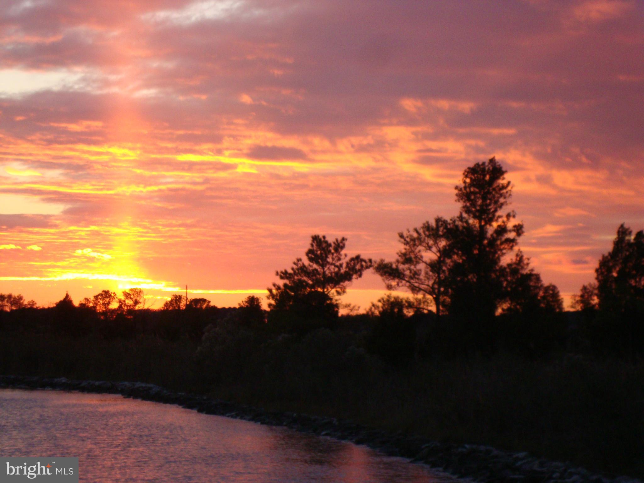 5300 Ross Neck Road Cambridge, MD 21613 - Photo 4 of 30 Gorgeous sunrise / sunset views