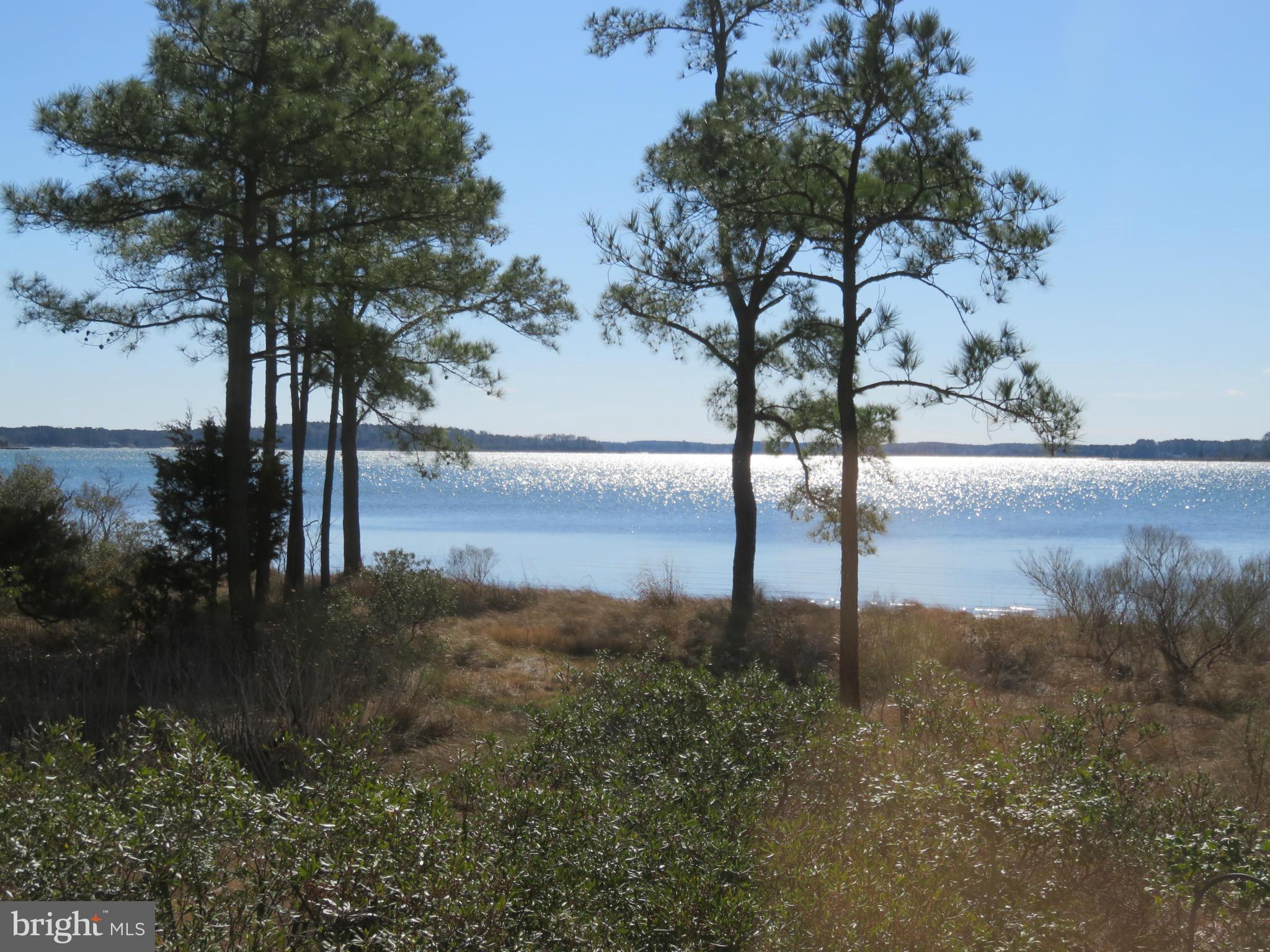 5300 Ross Neck Road Cambridge, MD 21613 - Photo 5 of 30 View of shimmering water from balcony