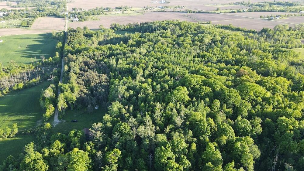 Vl Melcher Road Prescott, MI 48756 - Photo 29 of 65 DJI_0830