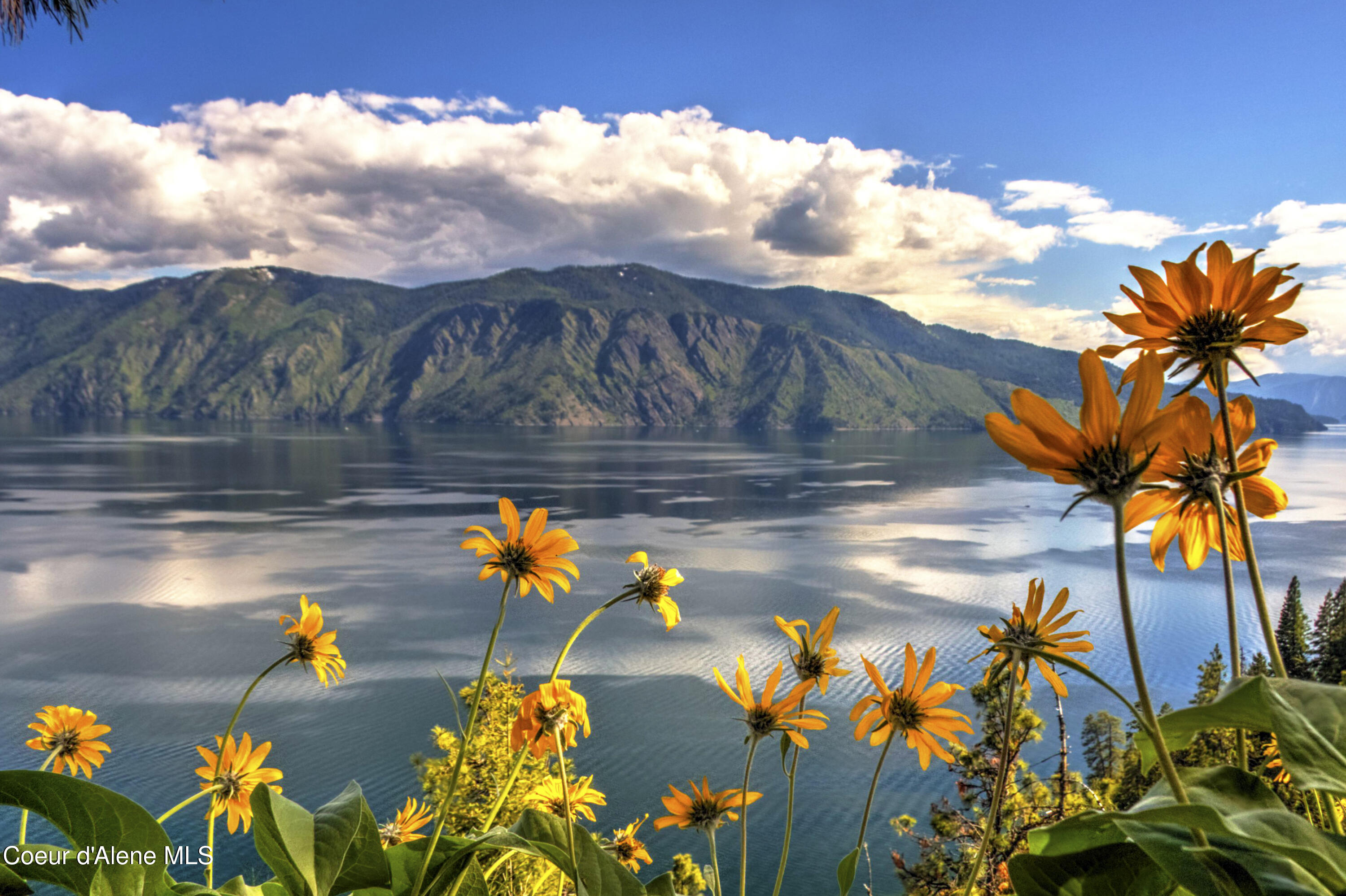 1770 Garfield Bay Road Sagle, ID 83860 - Photo 99 of 100 Lake Pend Oreille