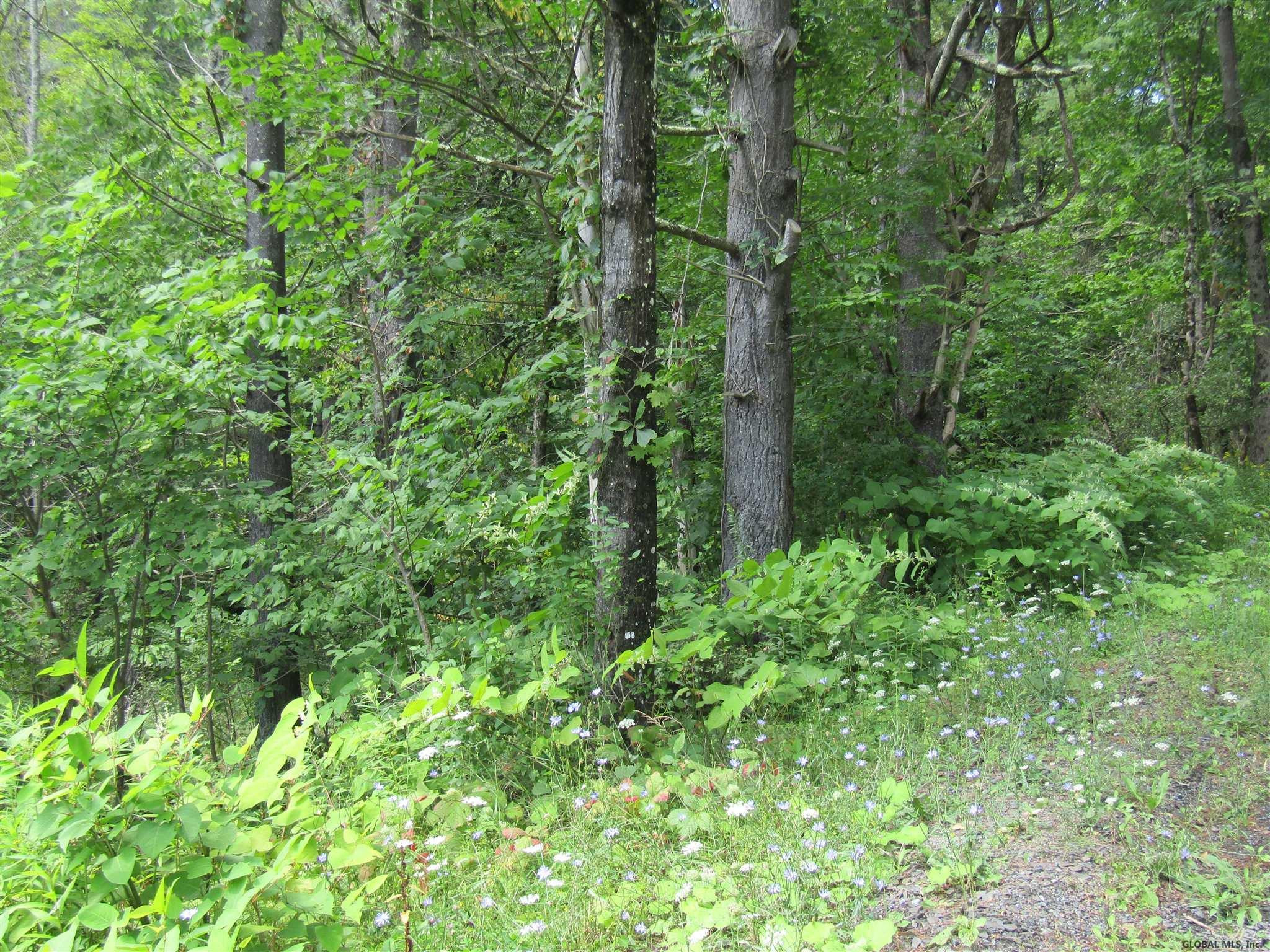 Pleasant Valley Road Fultonham, NY 12071 - Photo 1 of 11 Photo 1