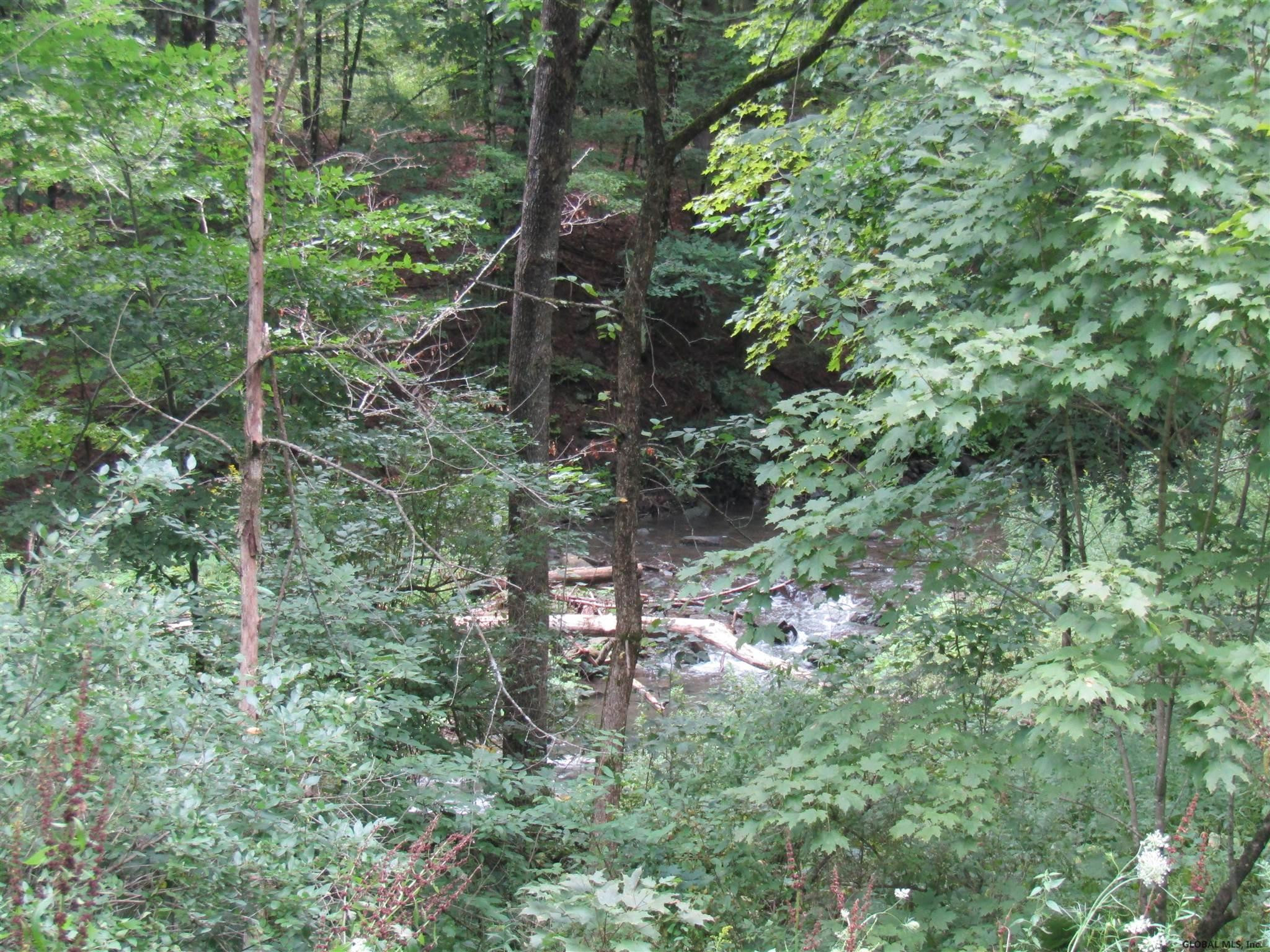 Pleasant Valley Road Fultonham, NY 12071 - Photo 11 of 11 Photo 11