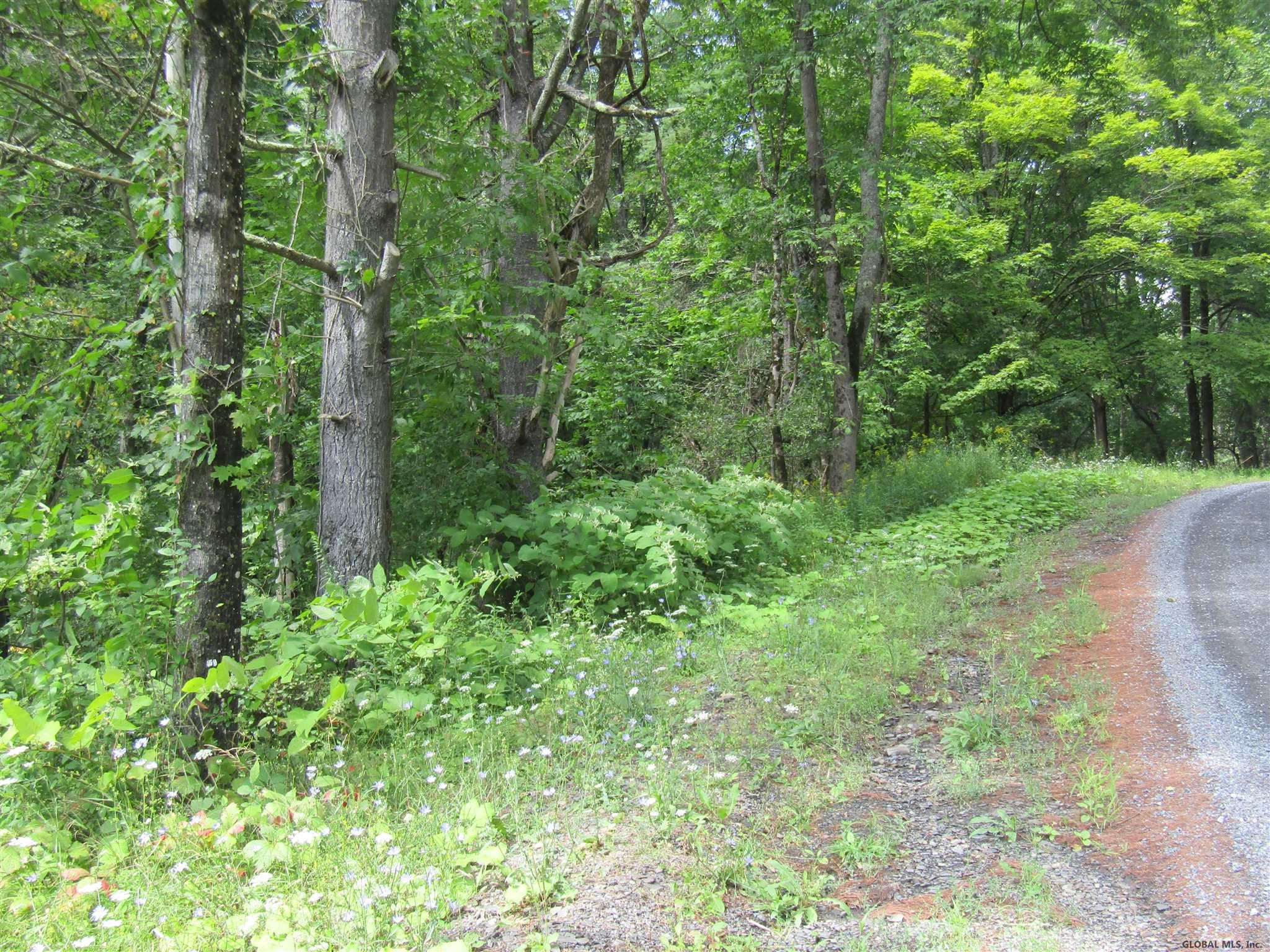 Pleasant Valley Road Fultonham, NY 12071 - Photo 2 of 11 Photo 2