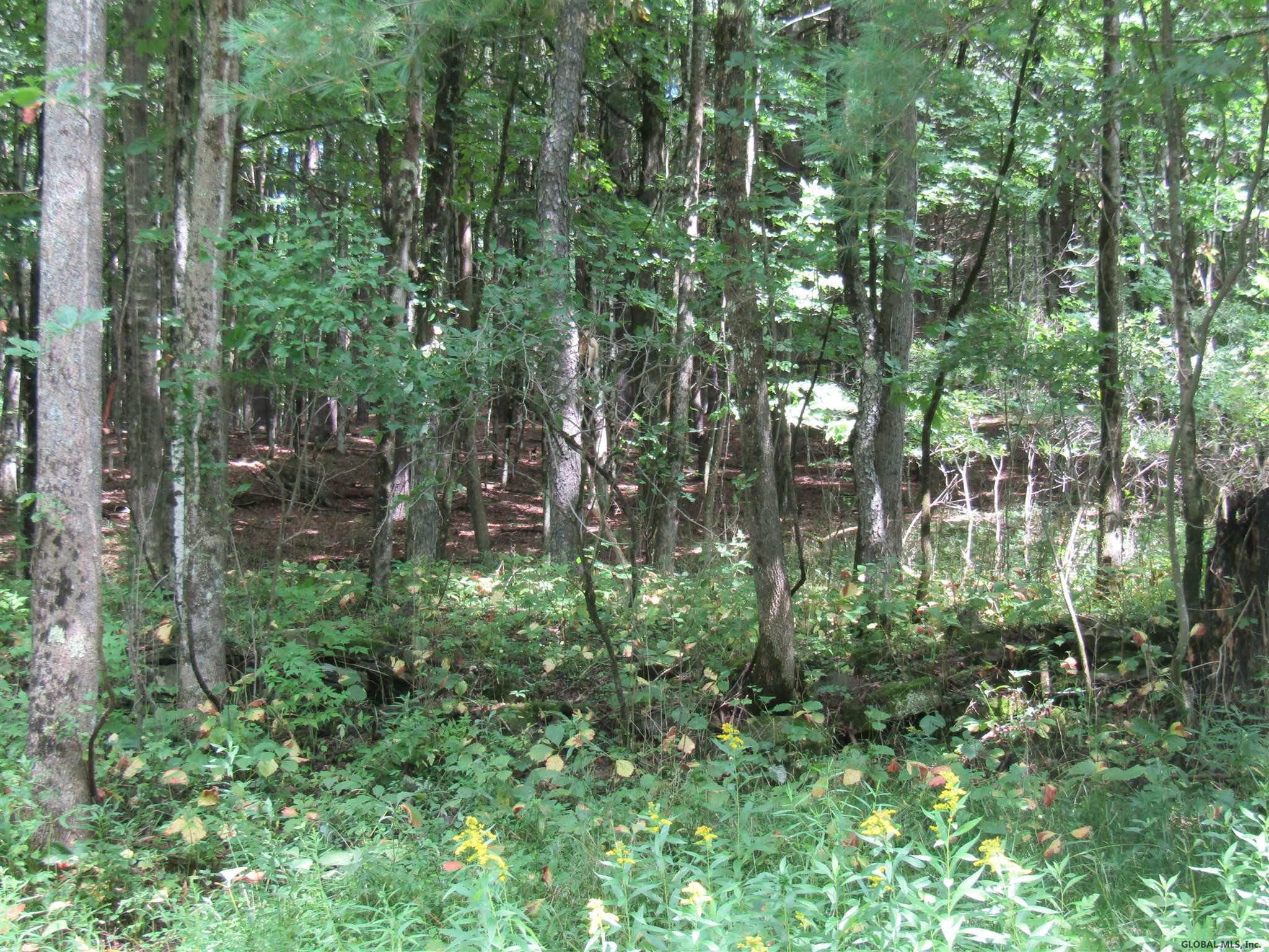 Pleasant Valley Road Fultonham, NY 12071 - Photo 3 of 11 Photo 3