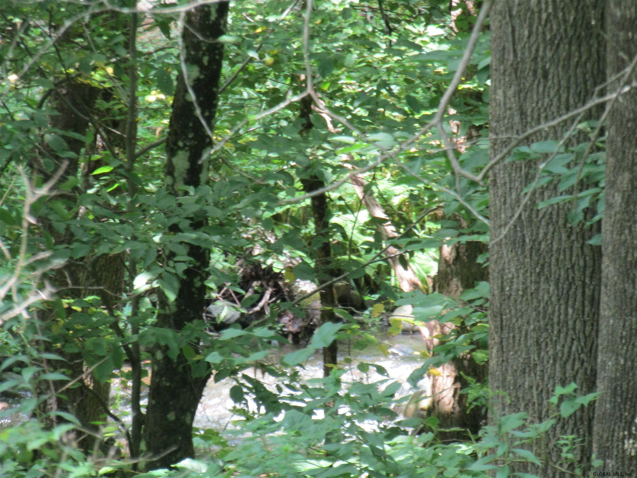 Pleasant Valley Road Fultonham, NY 12071 - Photo 4 of 11 Photo 4