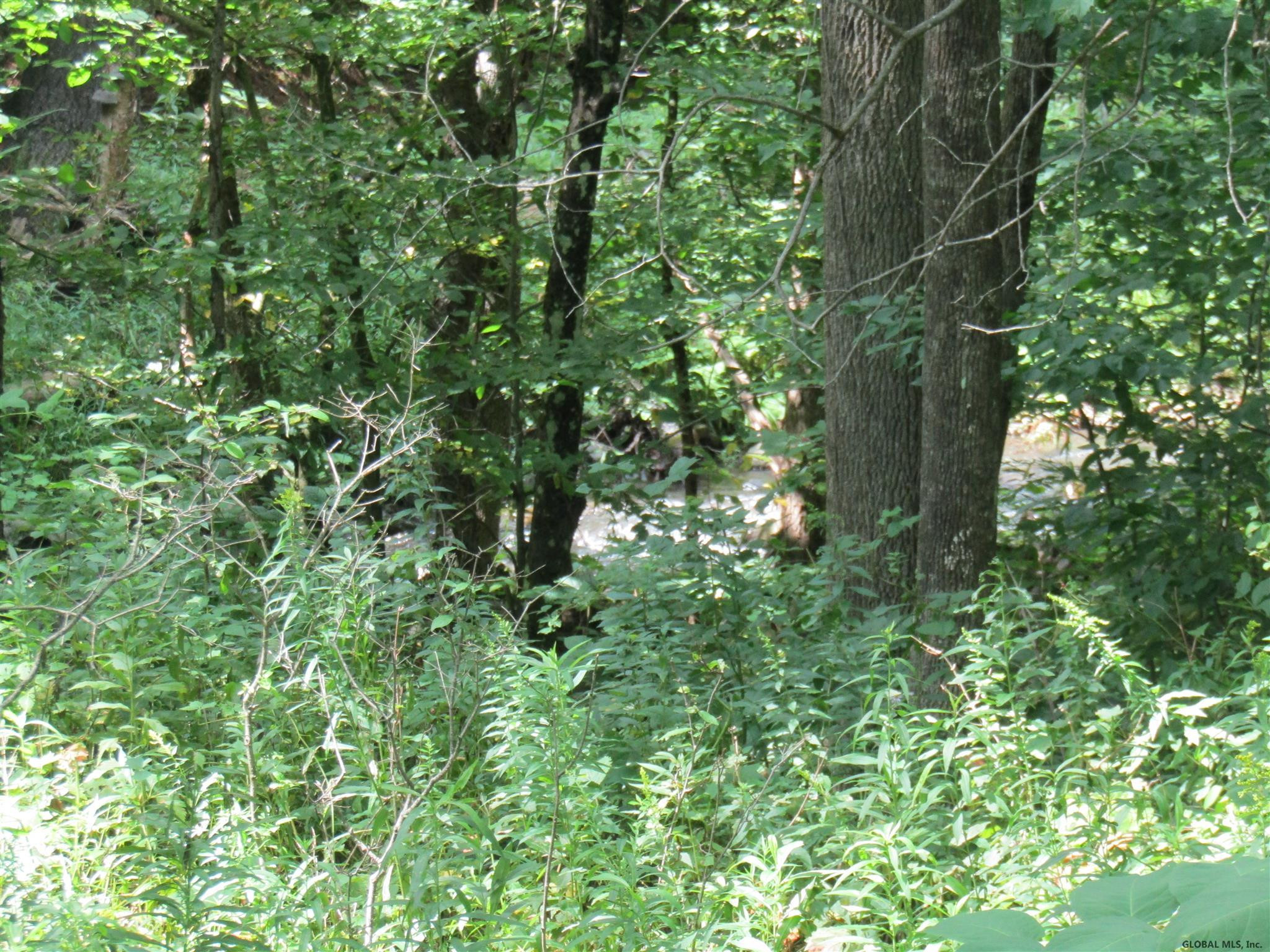 Pleasant Valley Road Fultonham, NY 12071 - Photo 5 of 11 Photo 5