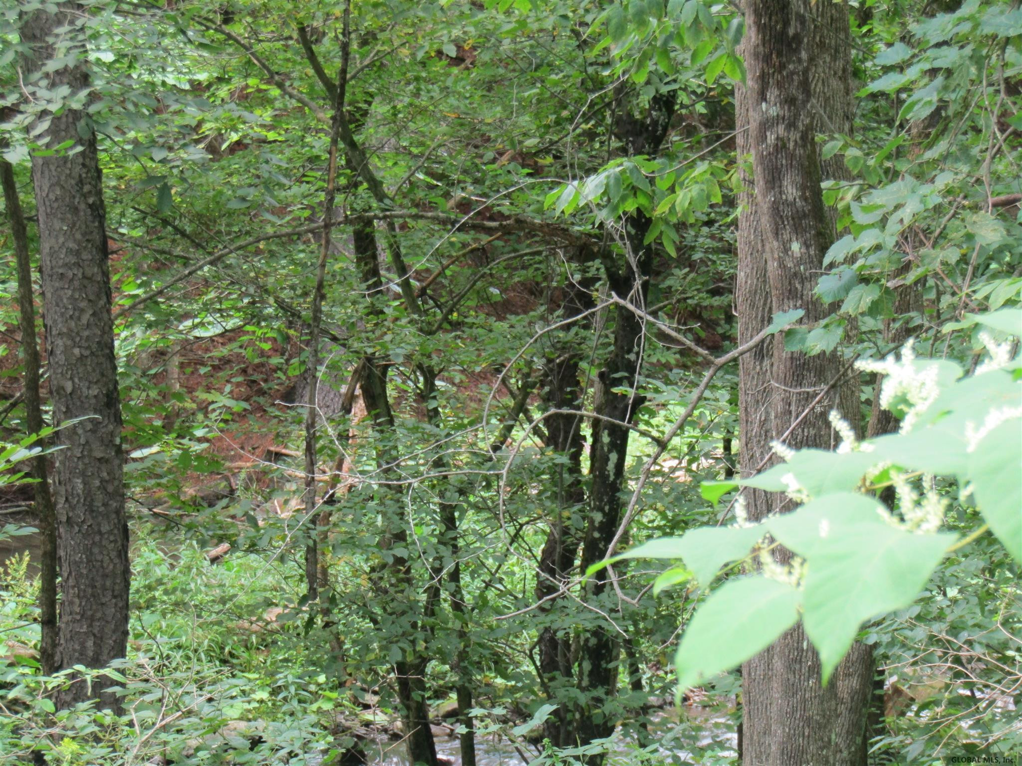Pleasant Valley Road Fultonham, NY 12071 - Photo 6 of 11 Photo 6