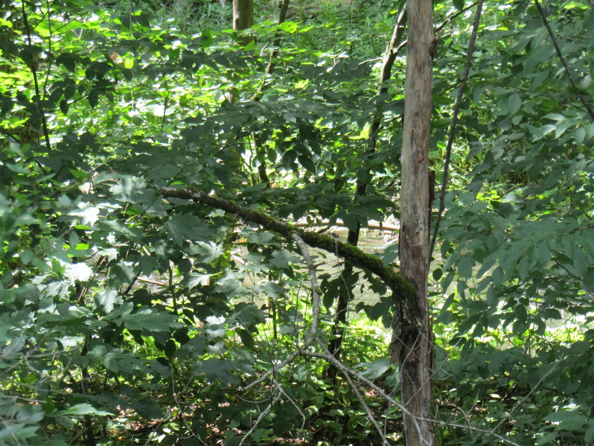 Pleasant Valley Road Fultonham, NY 12071 - Photo 9 of 11 Photo 9