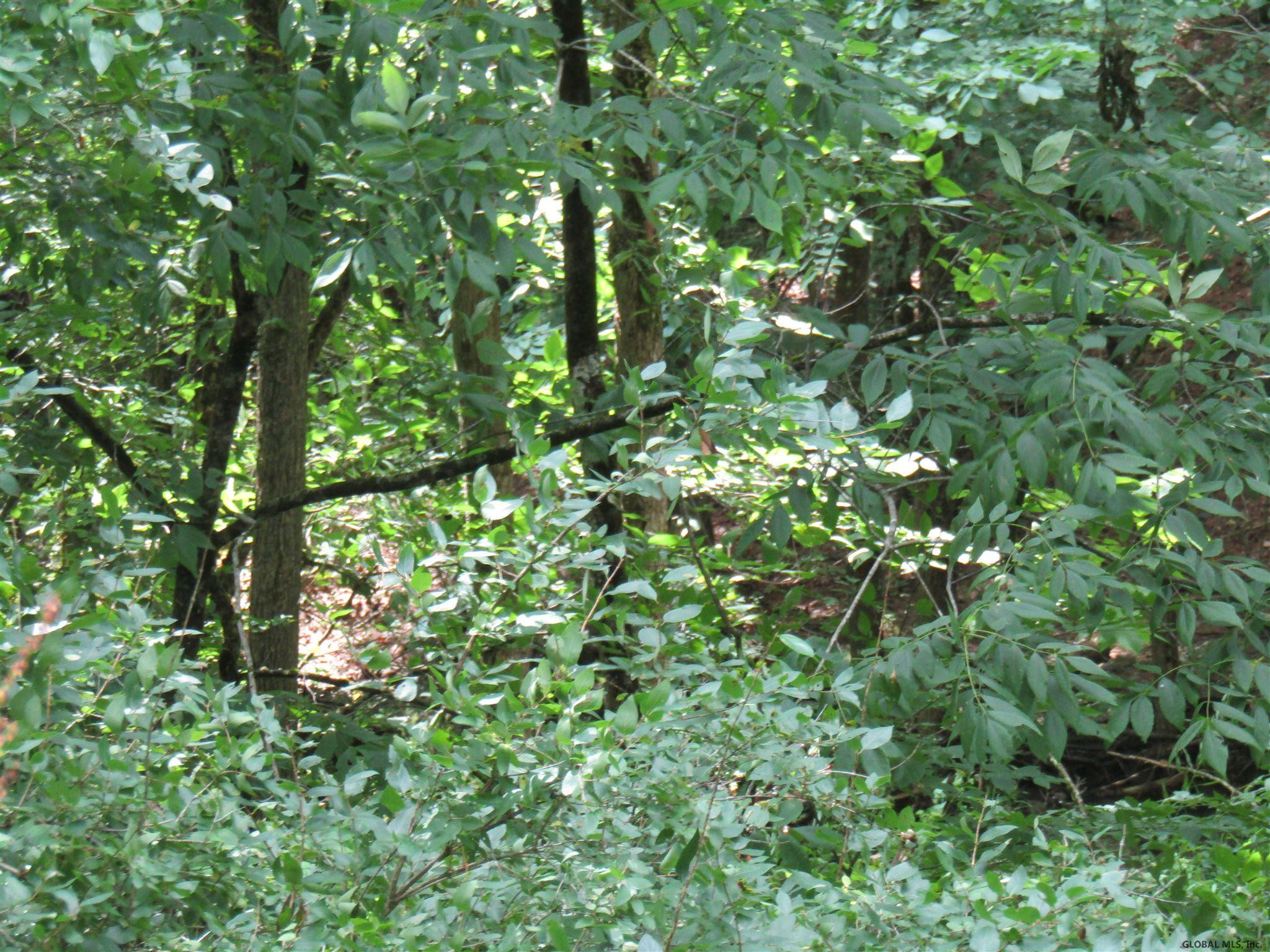 Pleasant Valley Road Fultonham, NY 12071 - Photo 10 of 11 Photo 10
