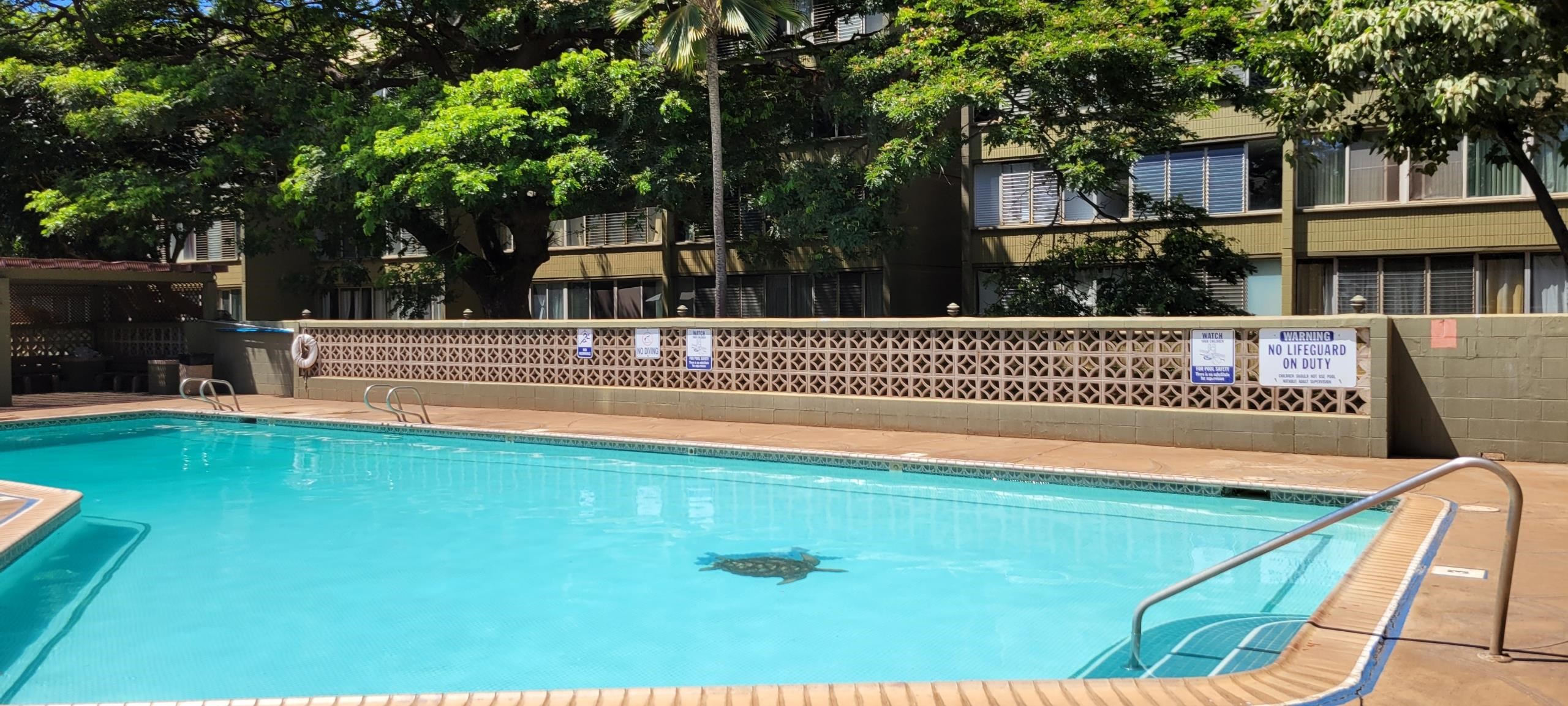 111 Kahului Beach Road, Unit B213 Kahului, HI 96732 - Photo 25 of 28 a view of outdoor space with swimming pool and sitting space