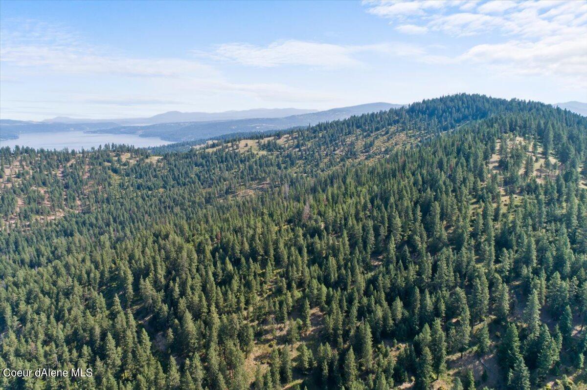 Nna East Alamo Road Harrison, ID 83833 - Photo 14 of 44 Wooded