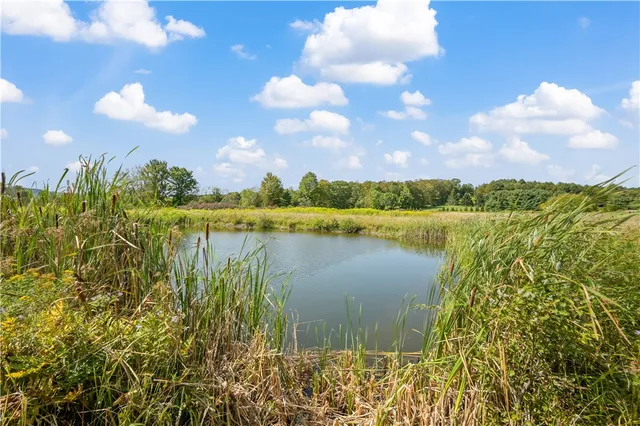 $487,250 | 313 Enid Road, Jefferson, NY 12093