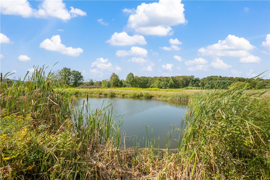 313 Enid Road Jefferson, NY 12093 - Photo 6 of 48