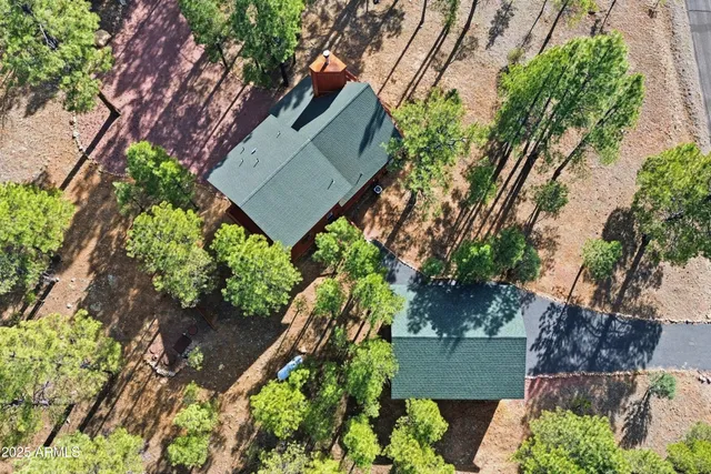 $558,900 | 3738 Apache Drive, Happy Jack, AZ 86024