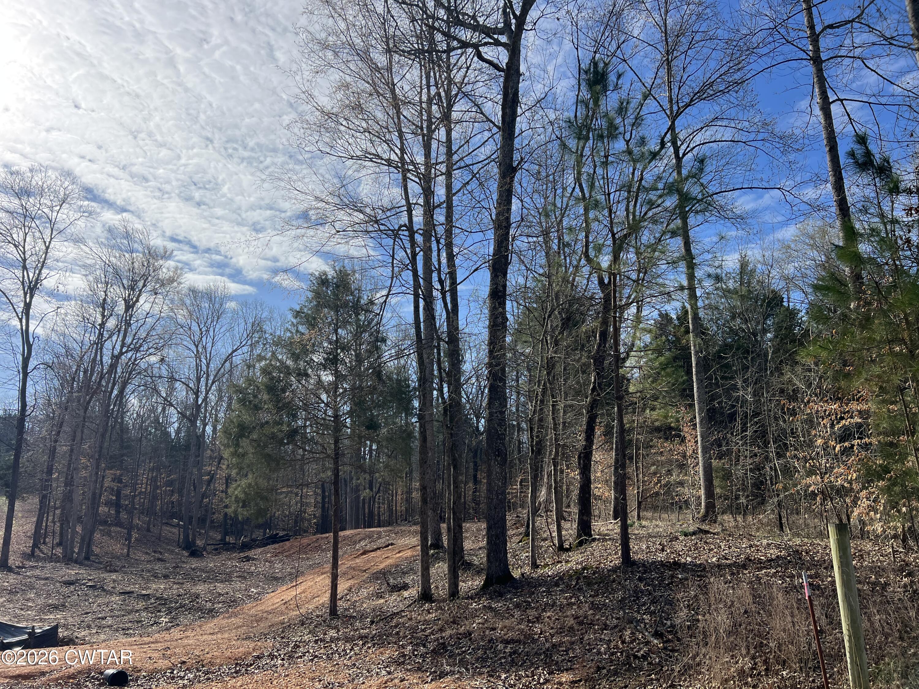 a view of a backyard with large trees