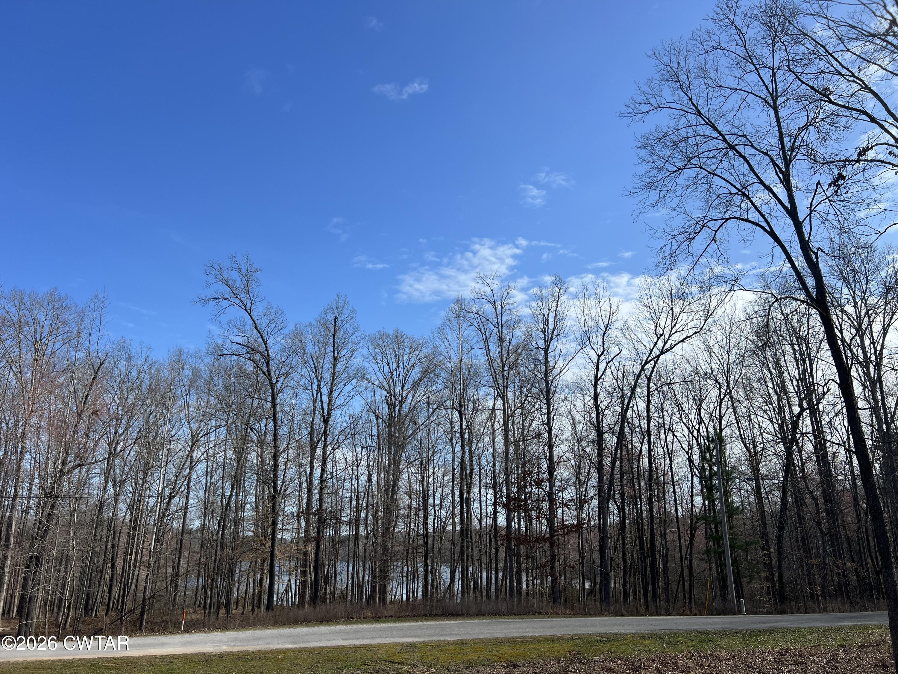 0 Excalibur Trail Cedar Grove, TN 38321 - Photo 3 of 15 a view of a yard with large trees