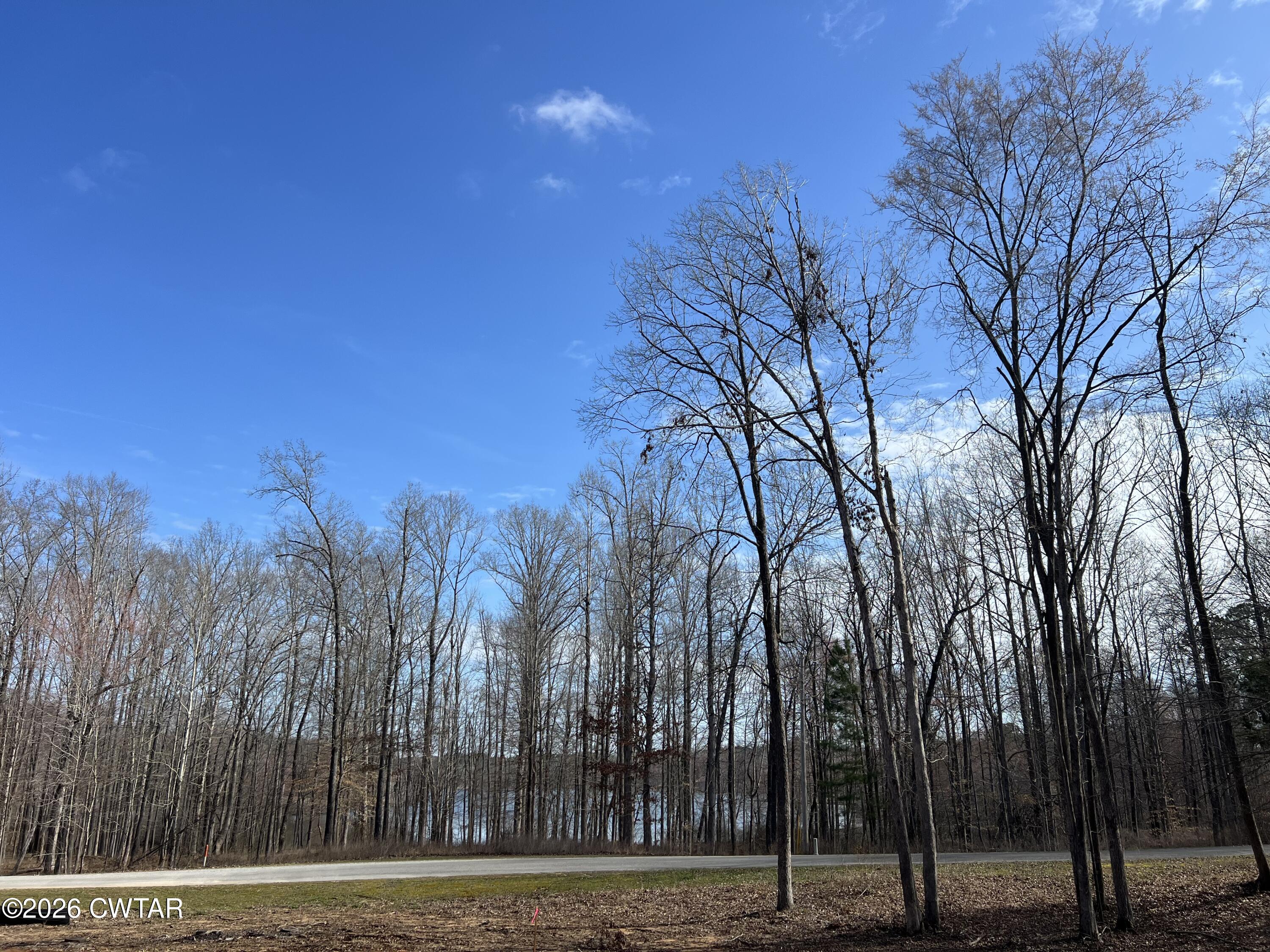 0 Excalibur Trail Cedar Grove, TN 38321 - Photo 4 of 15 a view of a city view