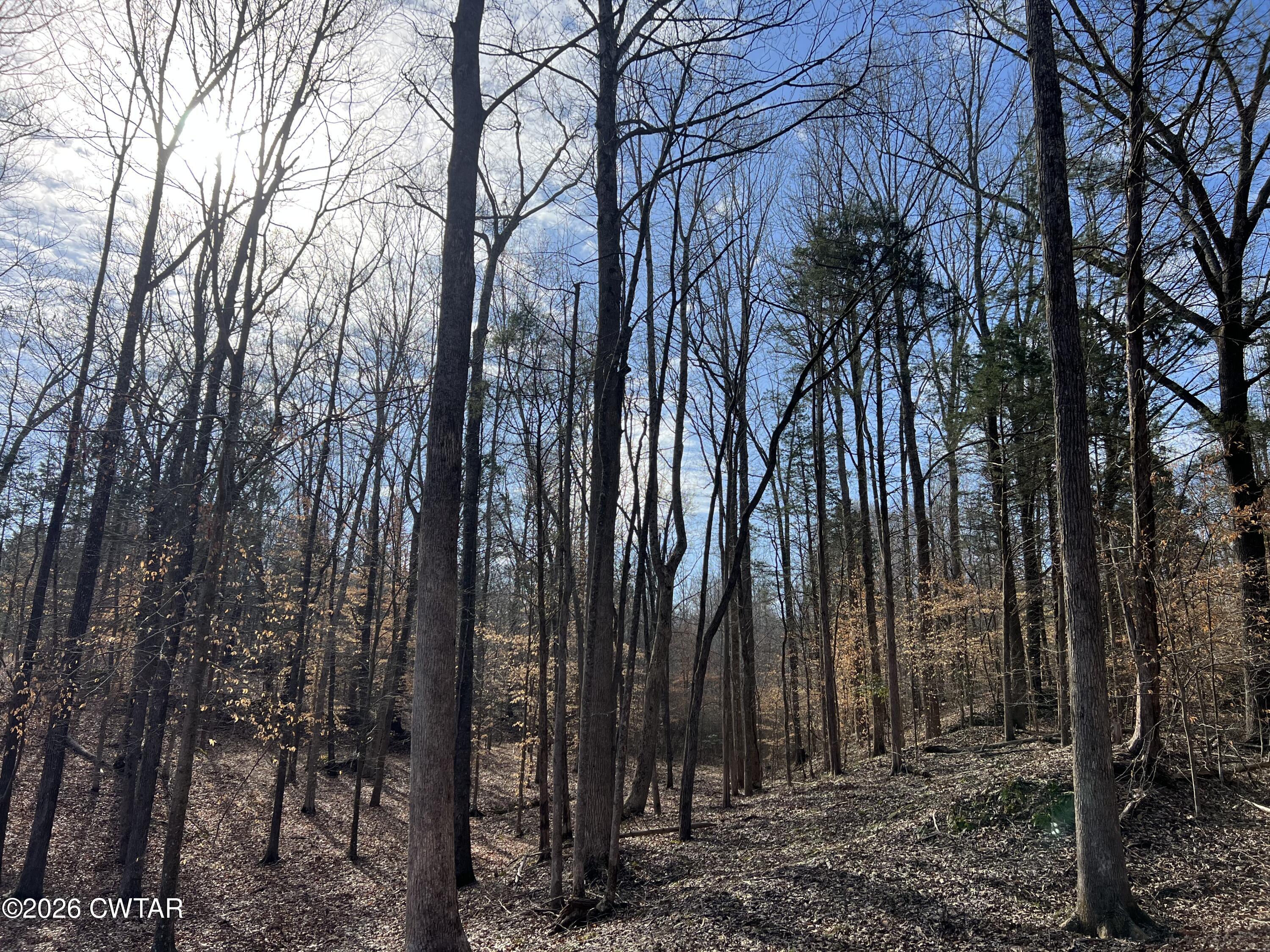 0 Excalibur Trail Cedar Grove, TN 38321 - Photo 5 of 15 a view of outdoor space with lots of trees