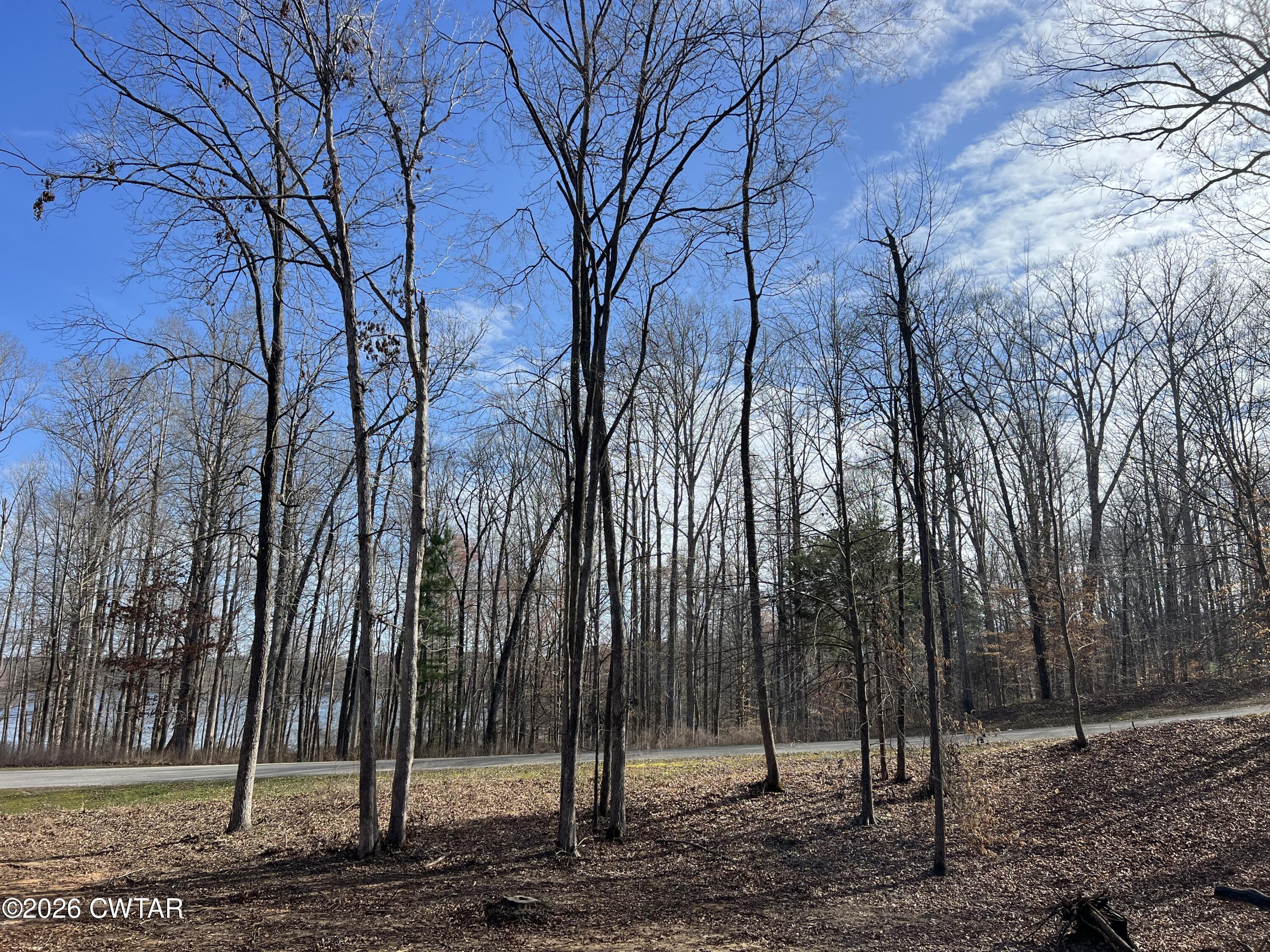 0 Excalibur Trail Cedar Grove, TN 38321 - Photo 6 of 15 a view of a park