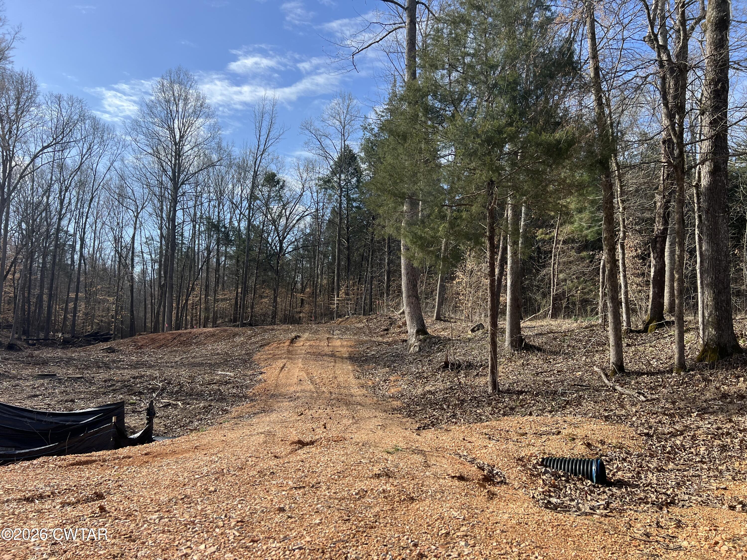 0 Excalibur Trail Cedar Grove, TN 38321 - Photo 7 of 15 a view of a backyard with large trees