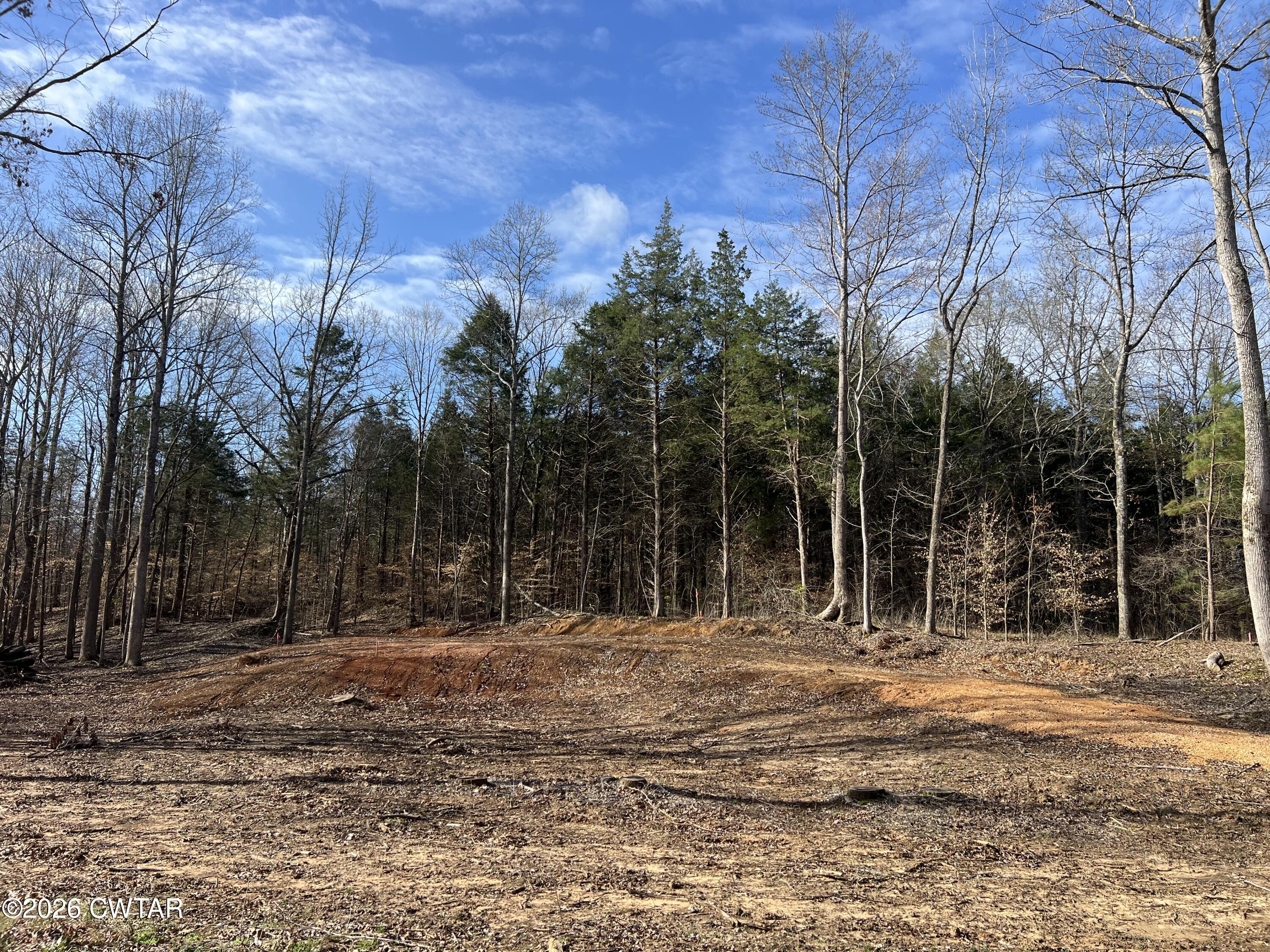 0 Excalibur Trail Cedar Grove, TN 38321 - Photo 8 of 15 a backyard of a house with large trees