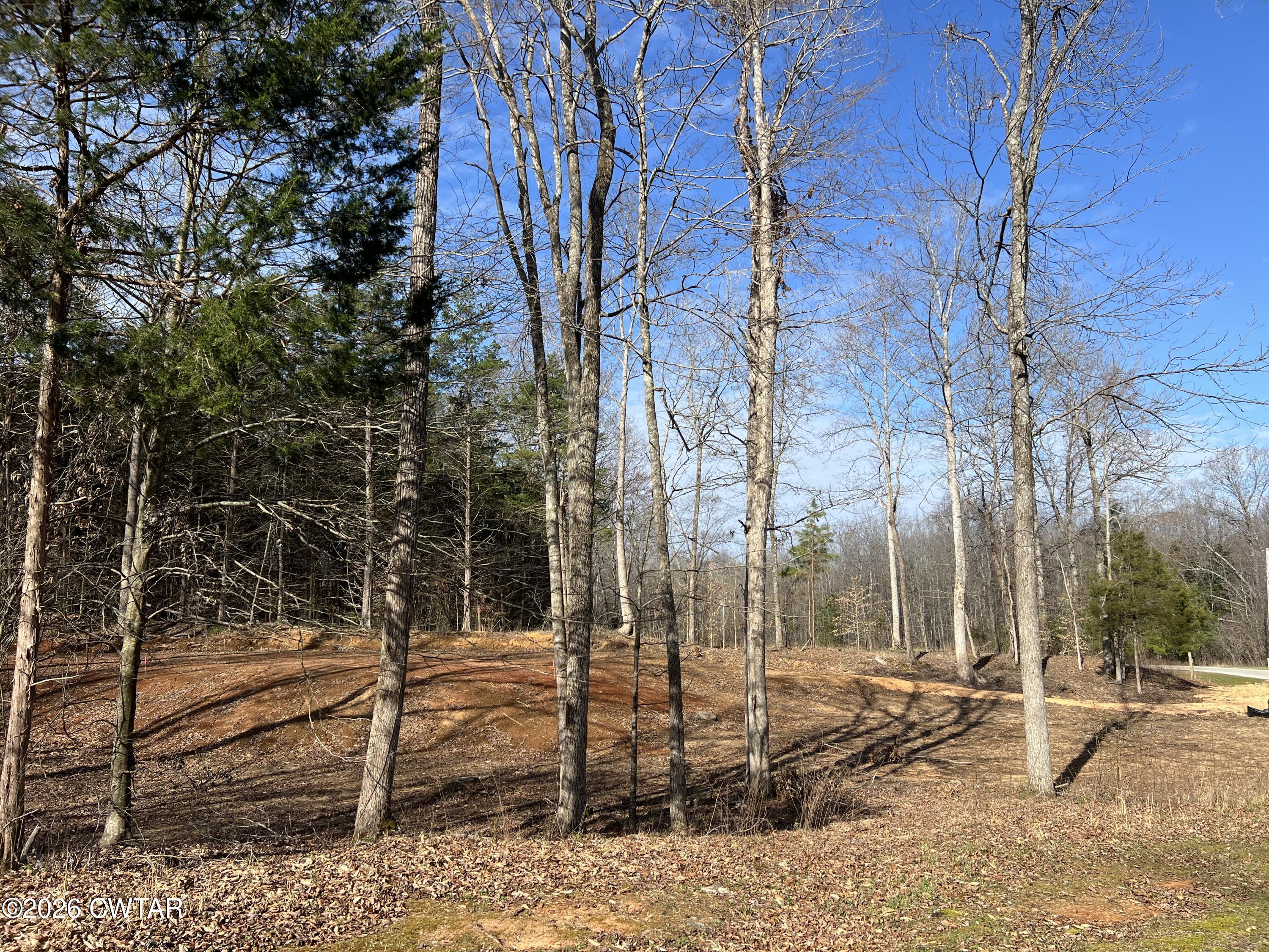 0 Excalibur Trail Cedar Grove, TN 38321 - Photo 9 of 15 a backyard of a house with lots of green space