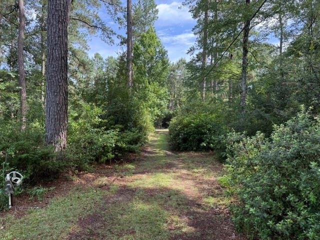 314 Deerfield Road Folsom, LA 70437 - Photo 2 of 26