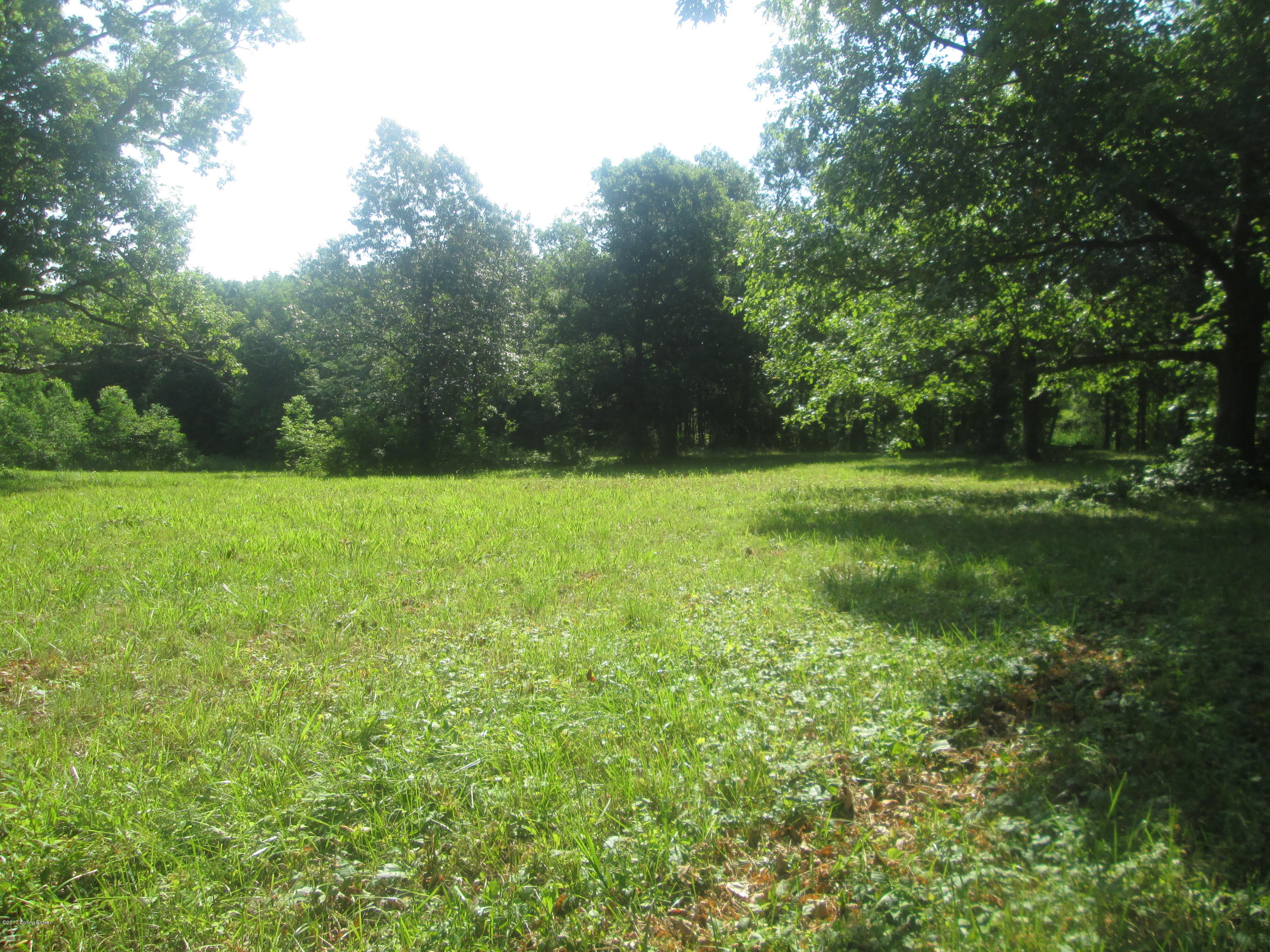 6111 Loretto Road Bardstown, KY 40004 - Photo 26 of 42 IMG_4158