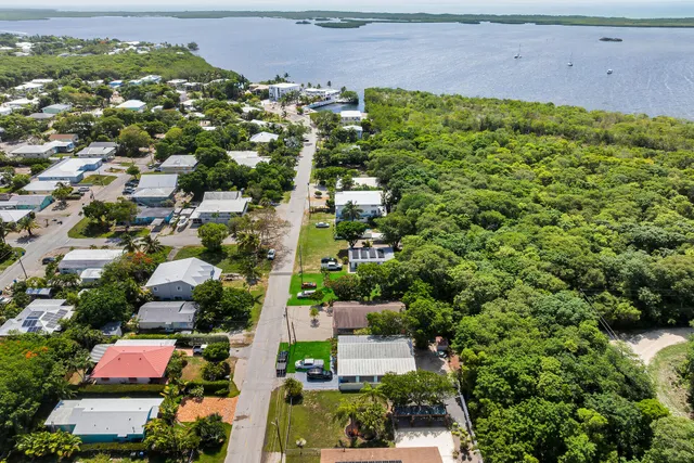 an aerial view of residential houses with outdoor space and trees