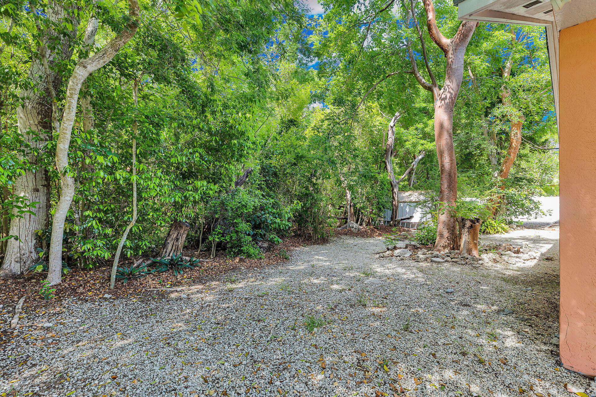 320 Sound Drive Key Largo, FL 33037 - Photo 46 of 48 a view of a forest with trees in the background