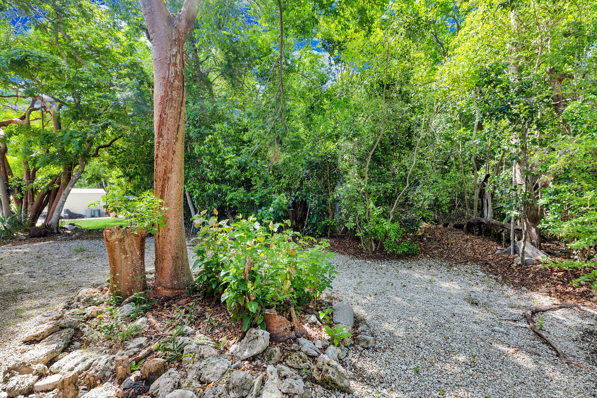 320 Sound Drive Key Largo, FL 33037 - Photo 47 of 48 a backyard of a house with lots of green space