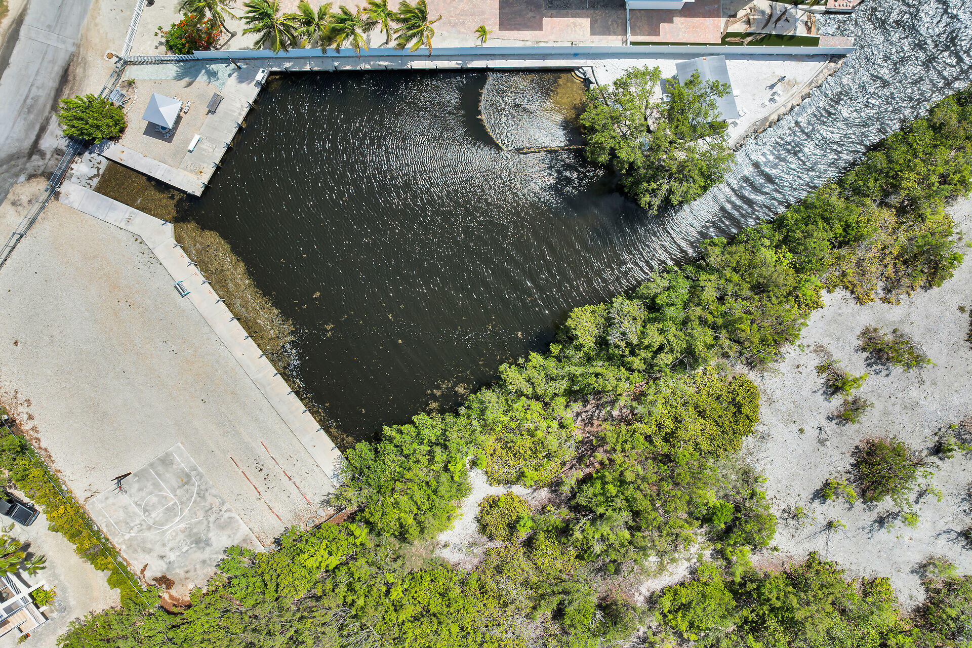 320 Sound Drive Key Largo, FL 33037 - Photo 9 of 48 a view of a garden with a pathway