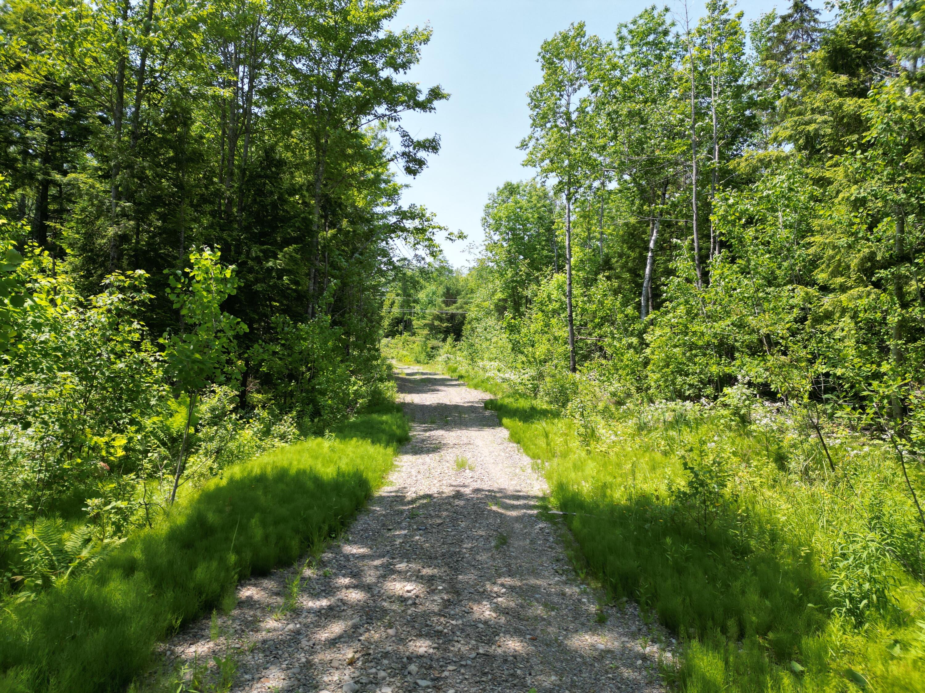 Lot 1 Keene Road Lincoln, ME 04457 - Photo 13 of 22 DJI_0314