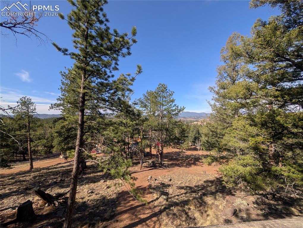 1176 Trail Creek Road Lake George, CO 80827 - Photo 27 of 34