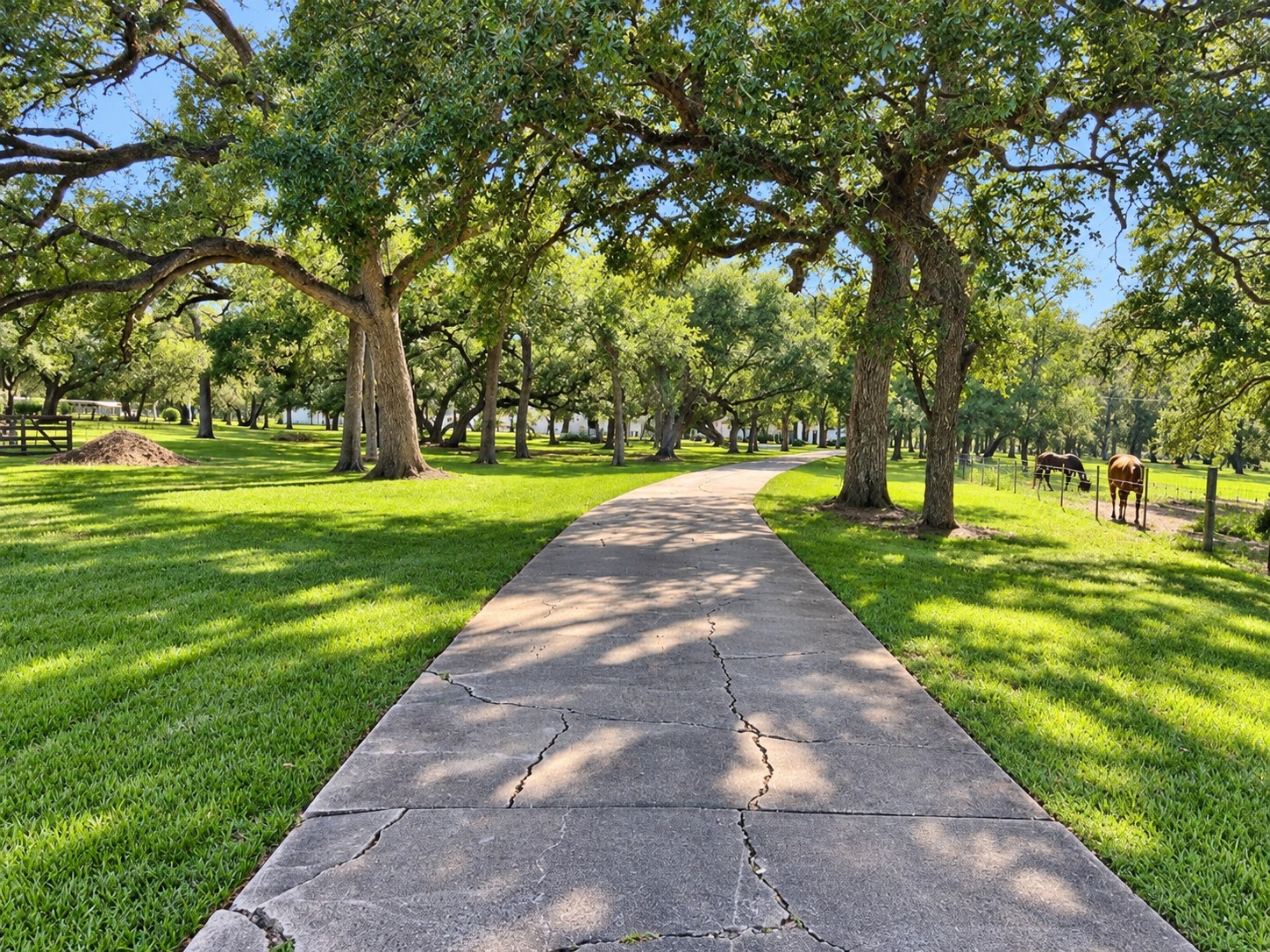 6510 FM 3012 Road Wharton, TX 77488 - Photo 5 of 45 Gallery Image 5