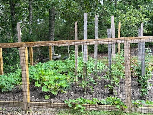 1000 Factory Road Harwich, MA 02645 - Photo 53 of 56 IMG_9090