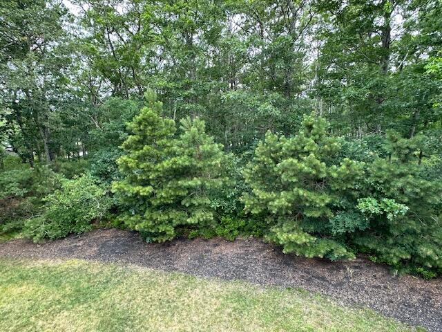 1000 Factory Road Harwich, MA 02645 - Photo 54 of 56 IMG_9074