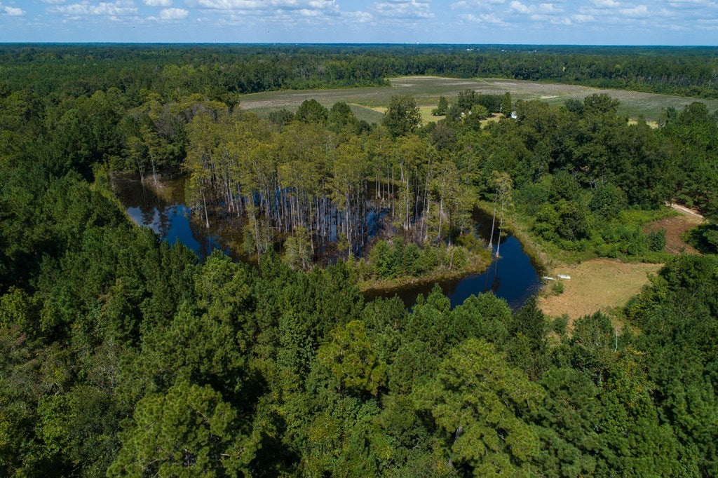 0 Shiloh Road Hahira, GA 31632 - Photo 3 of 5 Gallery Image 3