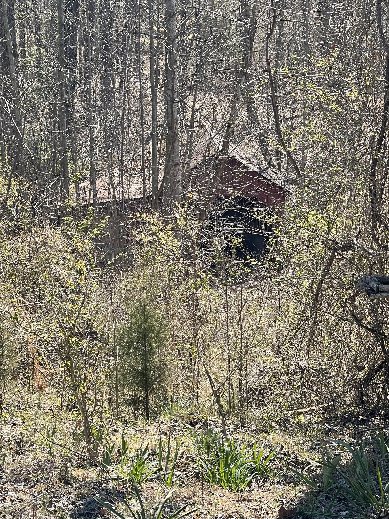 2135 East G Nash Road Roundhill, KY 42275 - Photo 1 of 3 Gallery Image 1