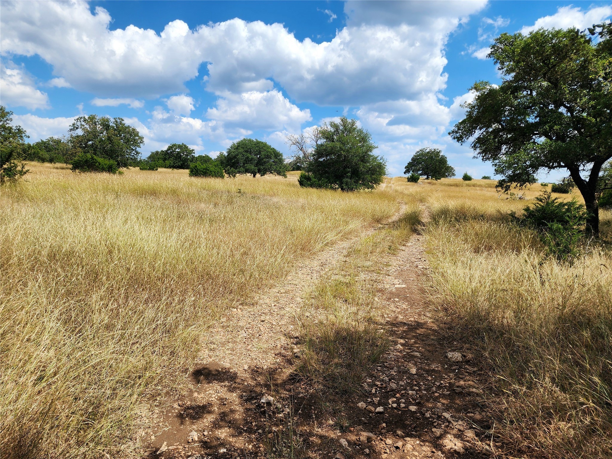 1332 Short Road Vanderpool, TX 78885 - Photo 11 of 44 a view of a lake view