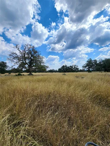a view of a lake from a yard